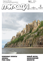 �������� 1/2026