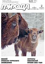 �������� 12/2025