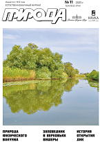 �������� 11/2025