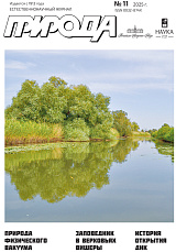 �������� 11/2025